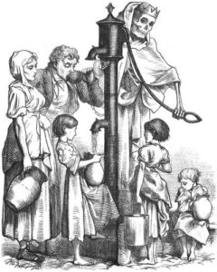 Viruses and vaccines in the 19th century
