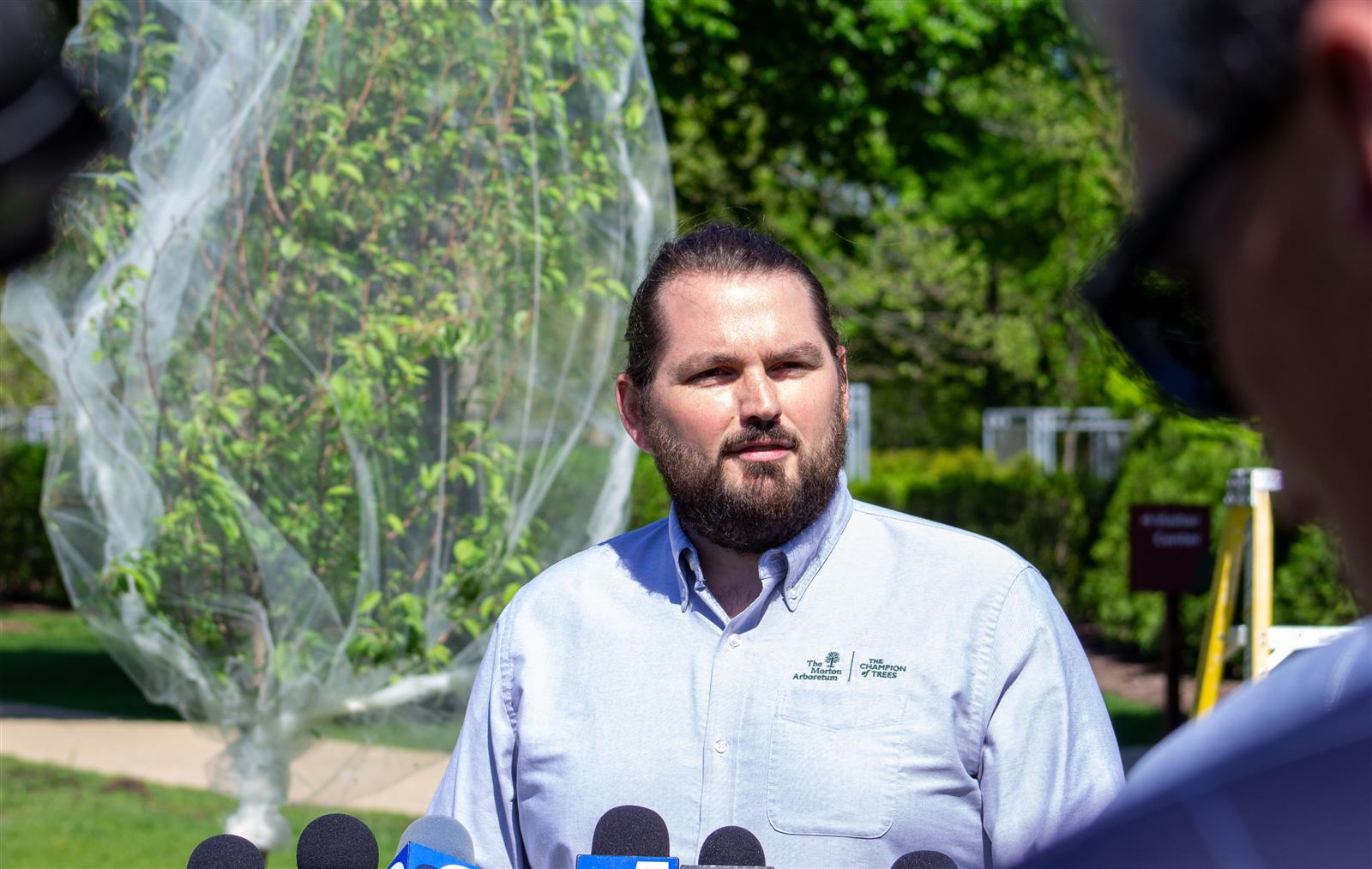 Time running out to net and protect young plants from cicada-related damage