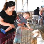 Will County Fair Fun For All Ages