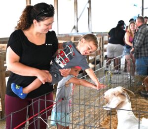 Will County Fair Fun For All Ages