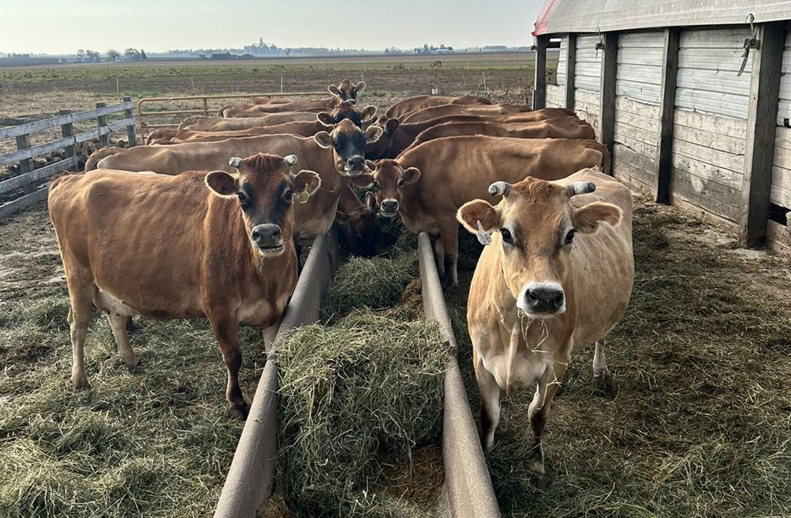 Raw milk proponents push for fewer restrictions on Illinois sales despite state health warnings