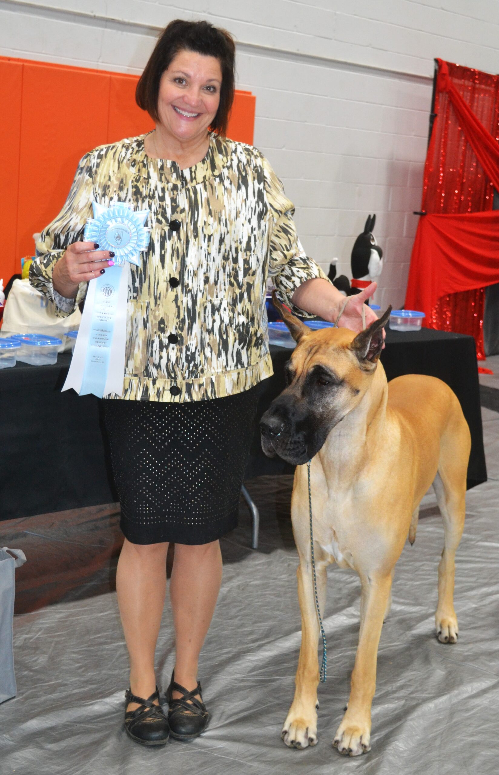 Best of Show in March 22's Great Dane judging in Frankfort went to Harper, who's owned by Janell Heiman and bred and handled by Carolyn McNamara, shown with Harper. (Photo by Karen Haave)