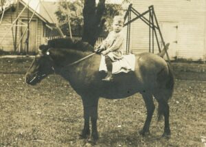 Farm Days Gone By