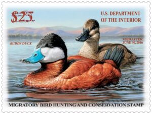 Federal Duck Stamp Art Exhibit opens at Plum Creek Nature Center