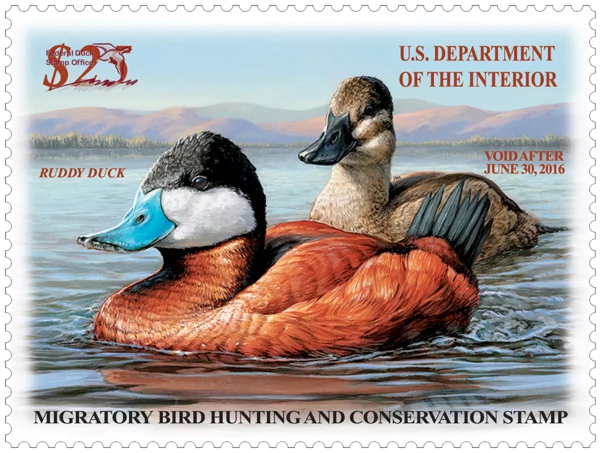 View duck stamp artwork at Plum Creek Nature Center during an exhibit that runs through Feb. 22. (Photo courtesy of the U.S. Fish and Wildlife Service)