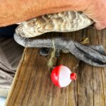 Forest Preserve Launches Campaign to Curb Fishing Line Harm to Wildlife