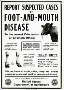 Animal epidemics, nothing new under the sun
