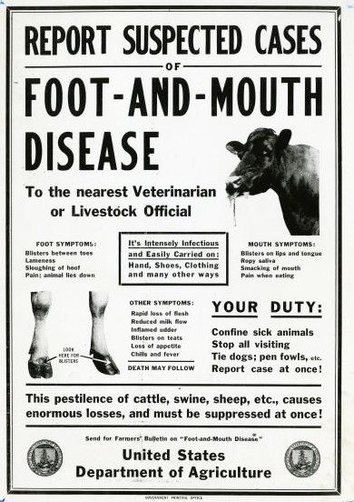 footnmouth