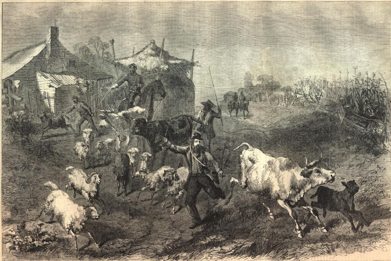foraging-soldiers