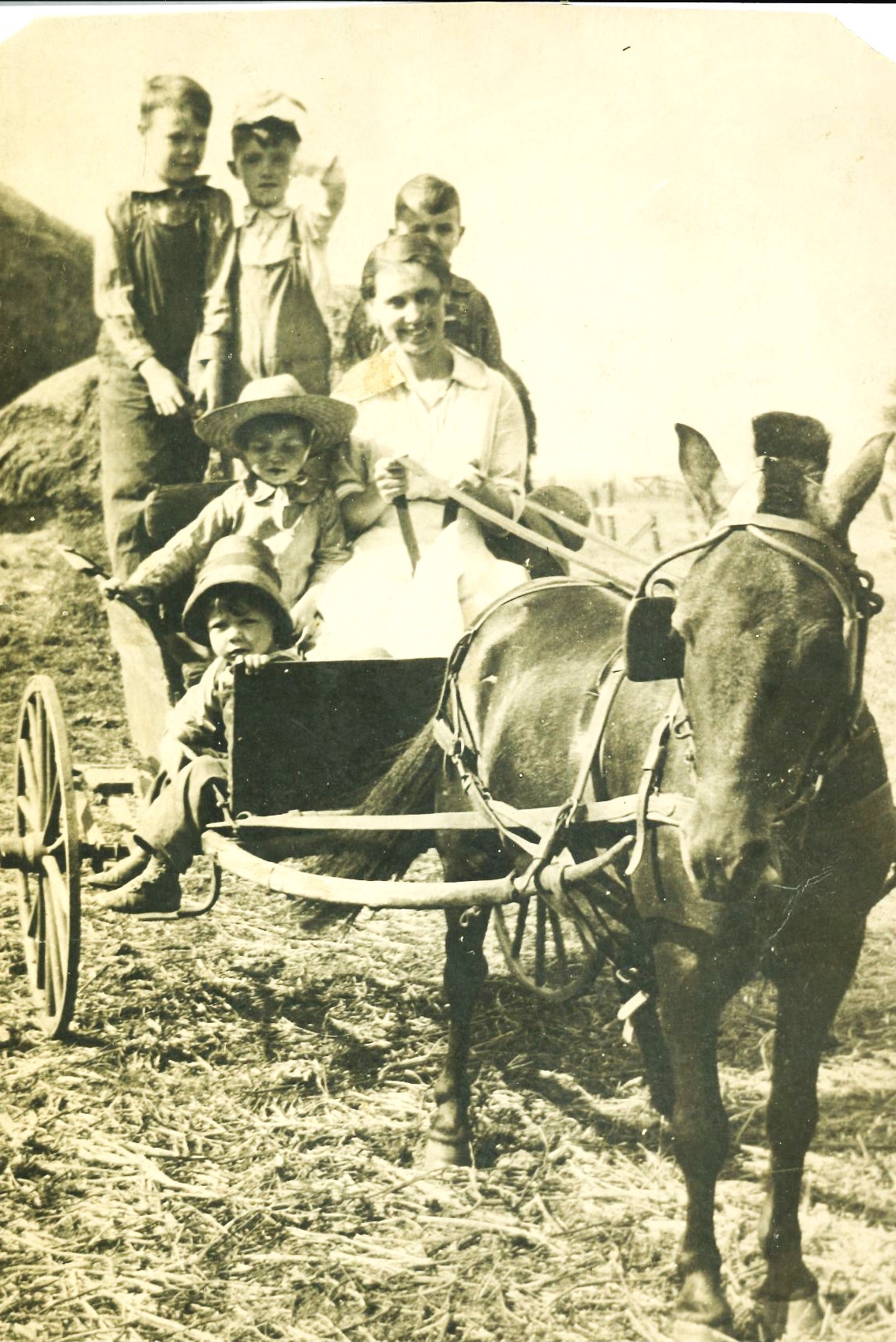 Kathy Forsythe of Manhattan shares this photo of a teacher picking up students for school on Old Chicago Road, now on former Arsenal property, around 1912. Her Dad, David, is the boy standing at top left. His brother, Ray, is the little boy sitting in the front of the buggy. Fun fact: The teacher boarded during the school term at her Dad's house.