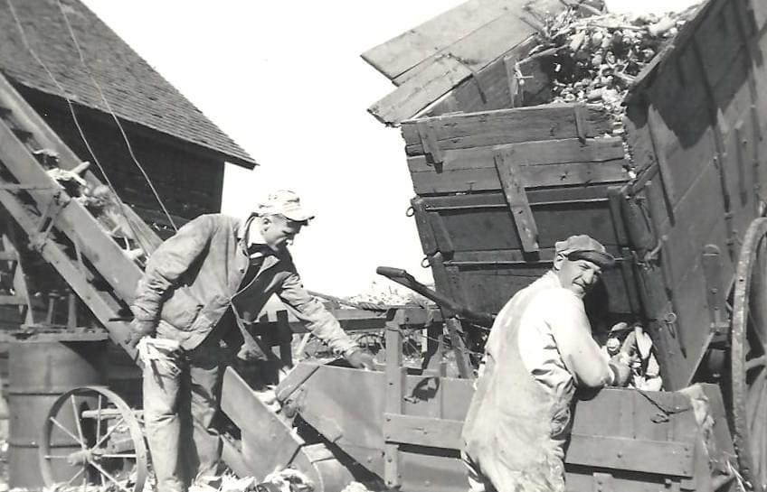 Gary Jurres from Peotone shares this photo of shelling and unloading corn in 1949 by William Pooley and his son, Rich.
