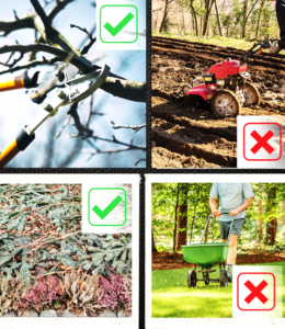 Late winter in the garden: Do’s and, more importantly, Don’ts