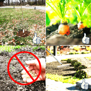 Mid-fall gardening tasks: too late for some, too early for others?