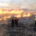 USDA Forest Service to Conduct Prescribed Burning at Midewin