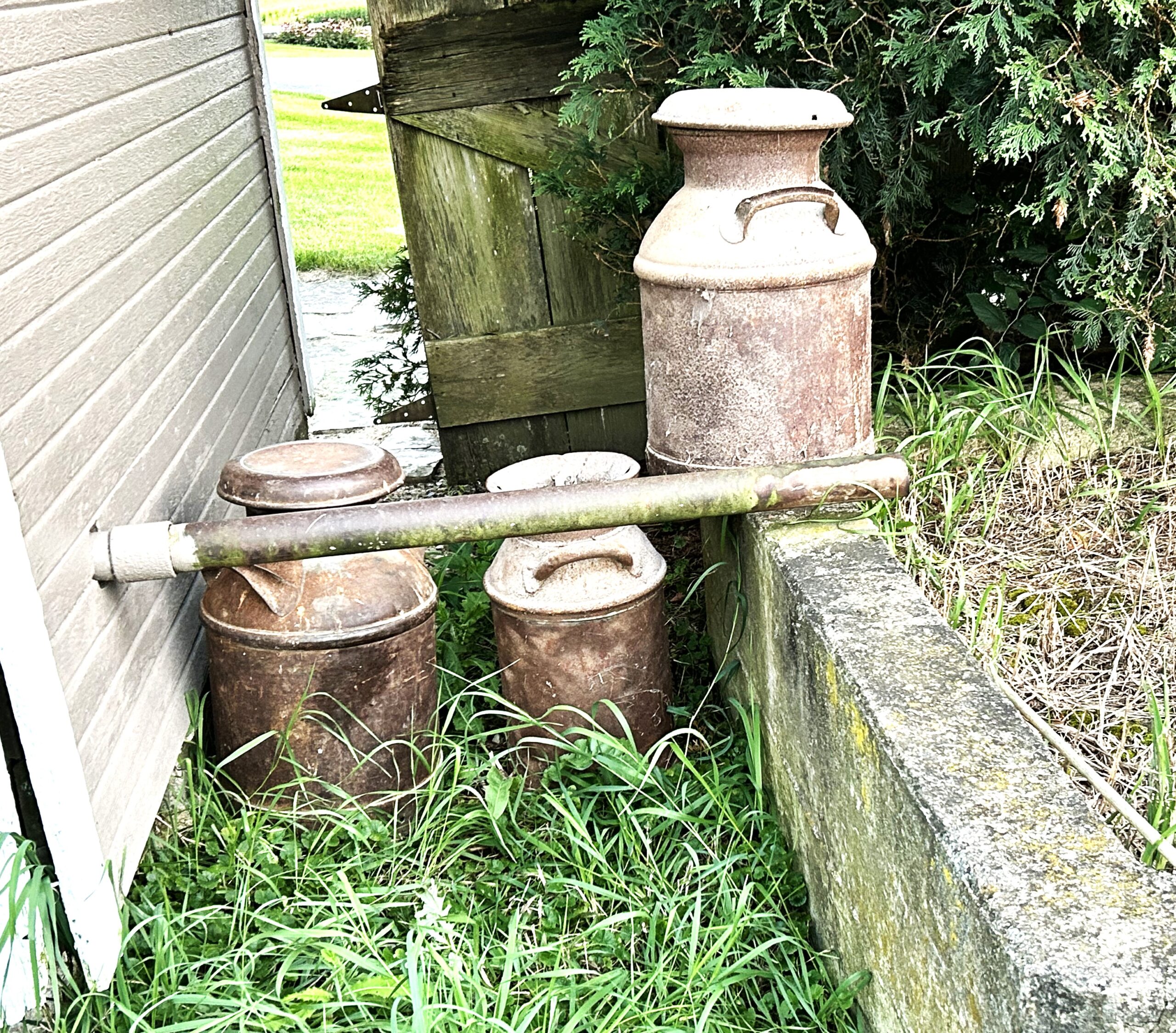 John Kiefner provided this photo to go with his column this week. Before electricity and refrigeration came to the dairy farm, milk was stored in small milk cans and set in a tub of water to be chilled until picked up each day by the milkman and taken to the dairy for processing, usually in the closest town. This picture shows the overflow pipe from the inside of the milk house that would have filled the outside concrete water tank that the cows would drink from throughout the day. This milk house still exists in the backyard of the home of Jim and Pam Robbins.