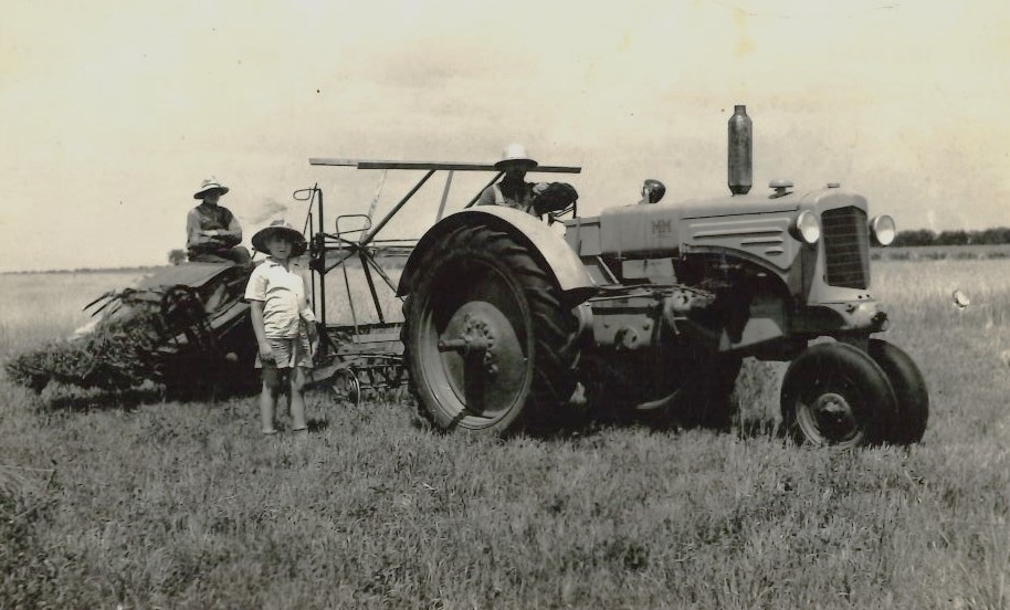 Dan Seggebruch shared a bunch of old family photos with us. In this one, Timothy hay is being harvested by, from left, Walter Seggebruch, Fred in front, and an unidentified worker on the cutter, on the farm in 1941.