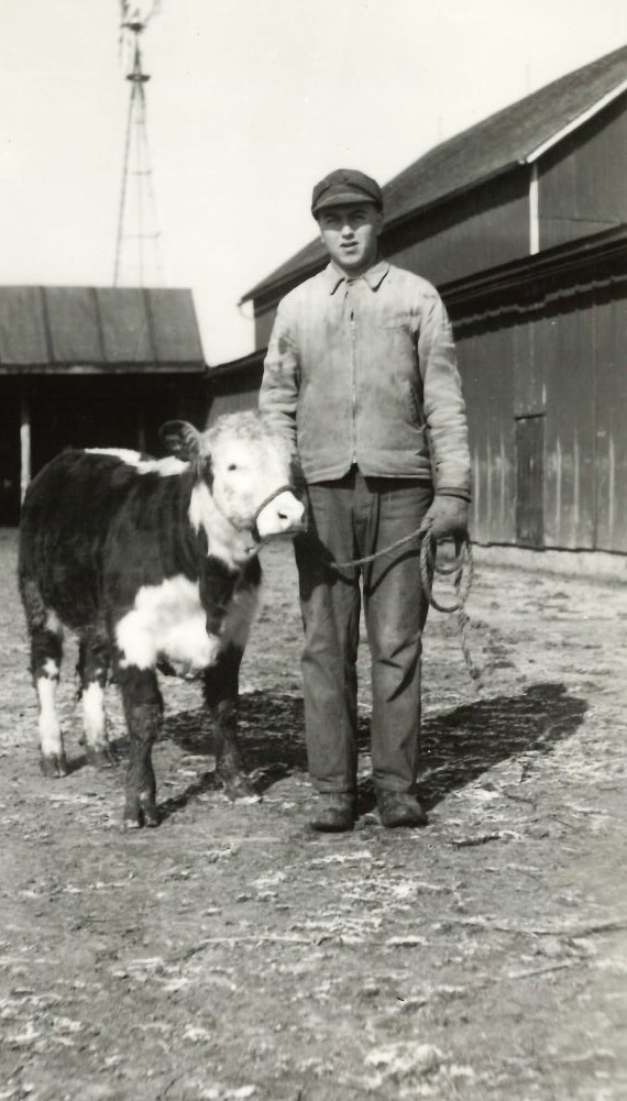 Fred Seggebruch showed many steer in his day. And here's one on the Crete farm around 1945.