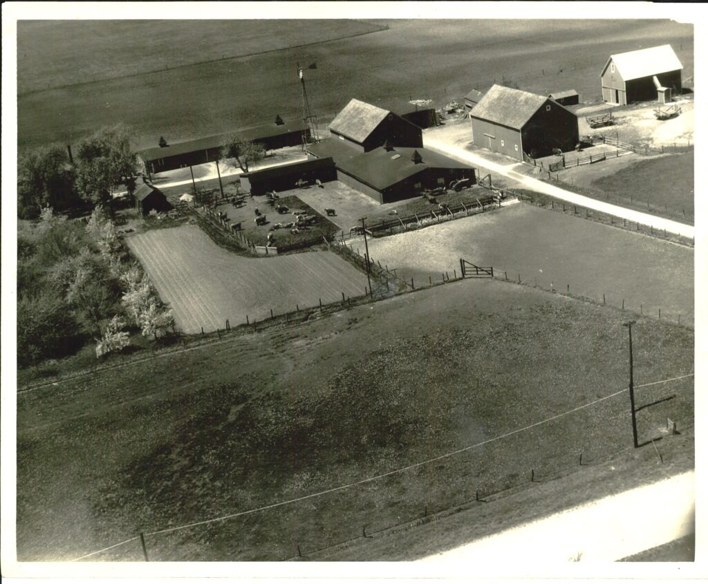 We've shown you a lot of pictures taken at the Seggebruch Farm in Crete. So here's one of the whole kit and kaboodle, taken in 1952.