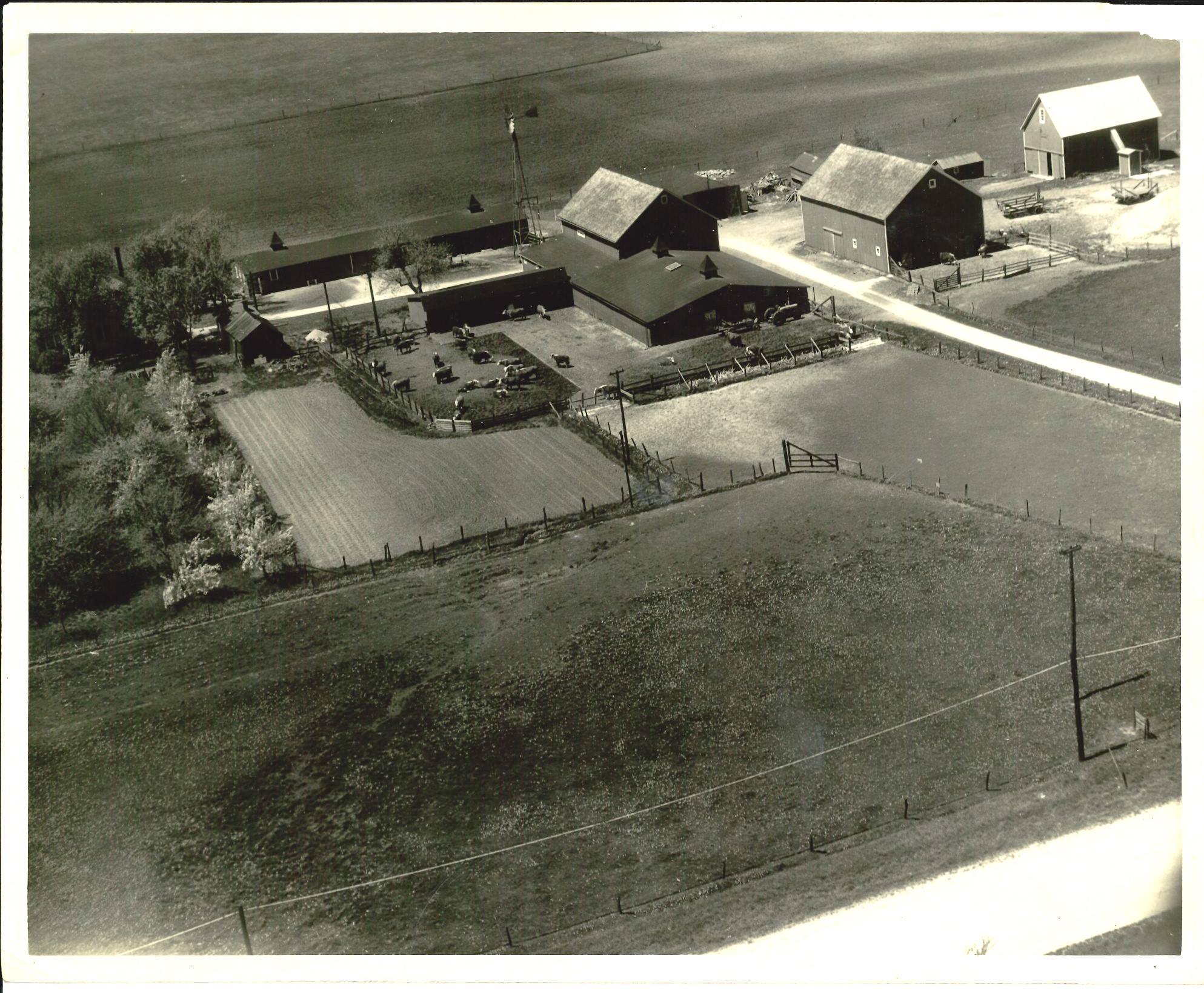 We've shown you a lot of pictures taken at the Seggebruch Farm in Crete. So here's one of the whole kit and kaboodle, taken in 1952.