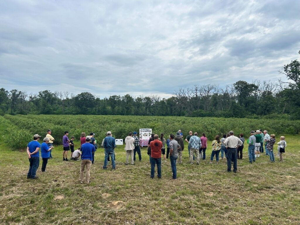 Visitors listen as Sarah Tammen-Gruber discusses blueberry pollination.