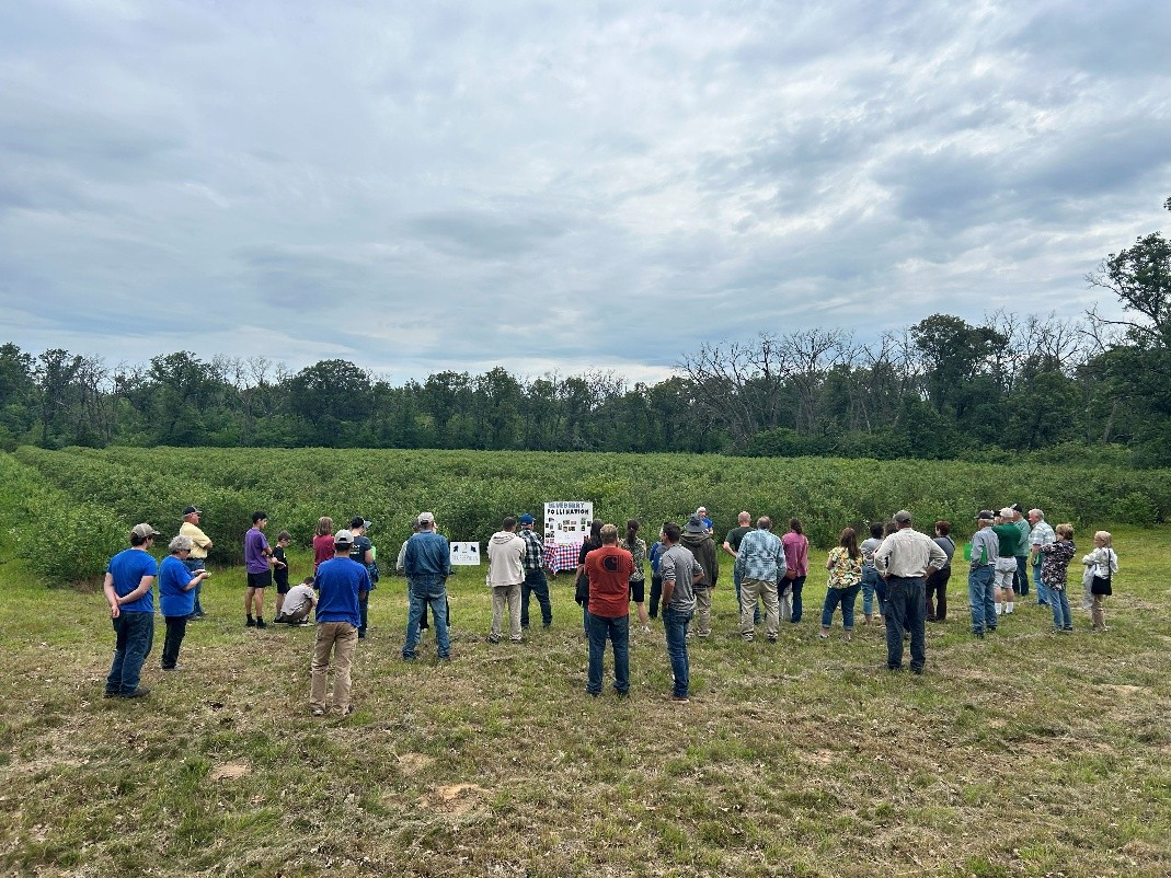 Visitors listen as Sarah Tammen-Gruber discusses blueberry pollination.