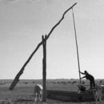 Farm Days Gone By