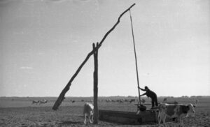 Farm Days Gone By