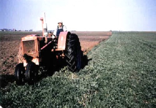 Willard A. Rowley showing cabs are for sissies while plowing on the Rowley farm in Homer Township in the early 1960s with his 1931 Case CC tractor, which he used well into the 1960s.