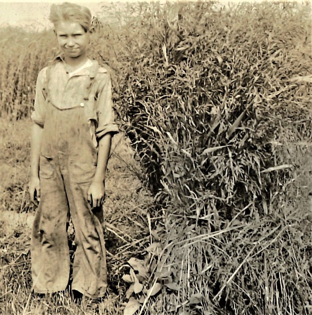 Our historical columnist, Sandy Vasko, shares this undated photo of Henry Arnold, Jr. standing amid a bunch of mixed soybeans and Sudan grass to be used for hay.