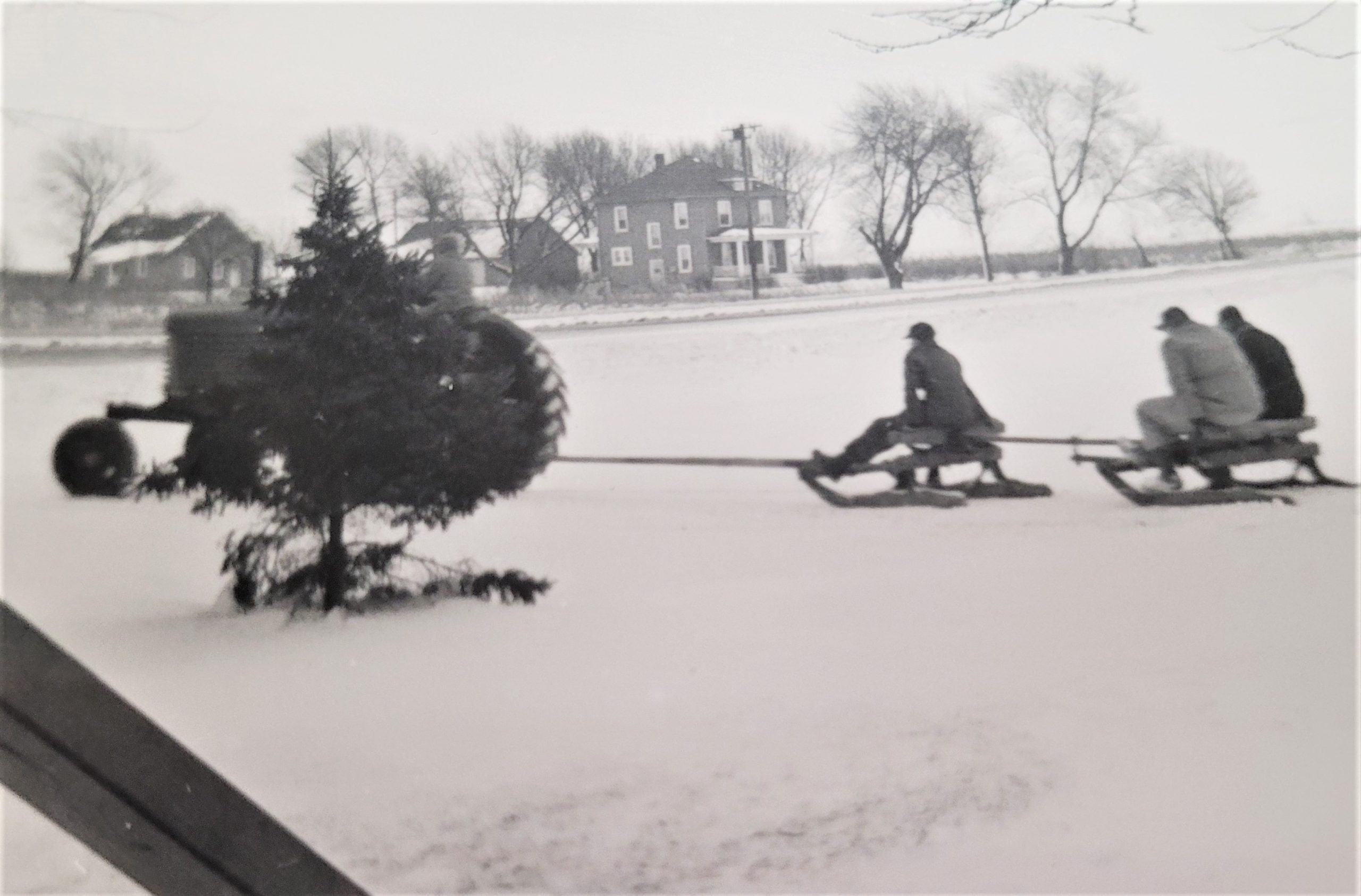 Need to cool off? Here's a photo from 1955 with fun in the winter on an 88HP open sleigh. Driving tractor is Eugene Wilhelmi, and on the sleds are Chester Wilhelmi, Denee Wilhelmi and Jerry Gerrard.