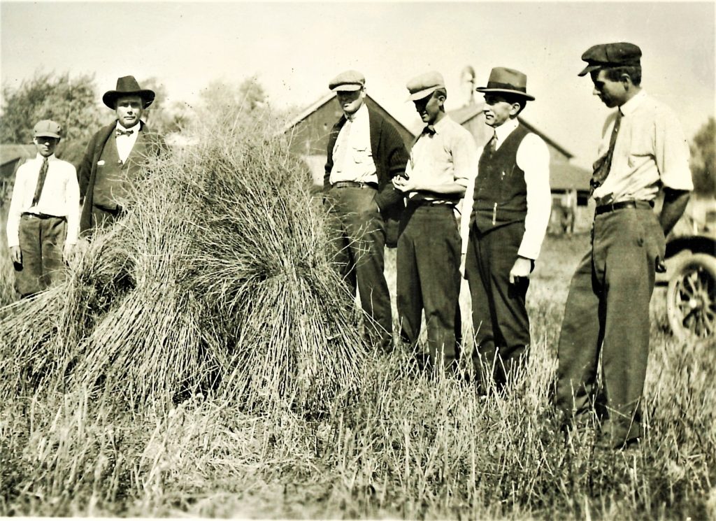 Farmers Weekly Review historian Sandy Vasko shares this photo of the boys inspecting Huban sweet clover on farm of H. W. Oglendorf in Crete during an auto tour in 1915.