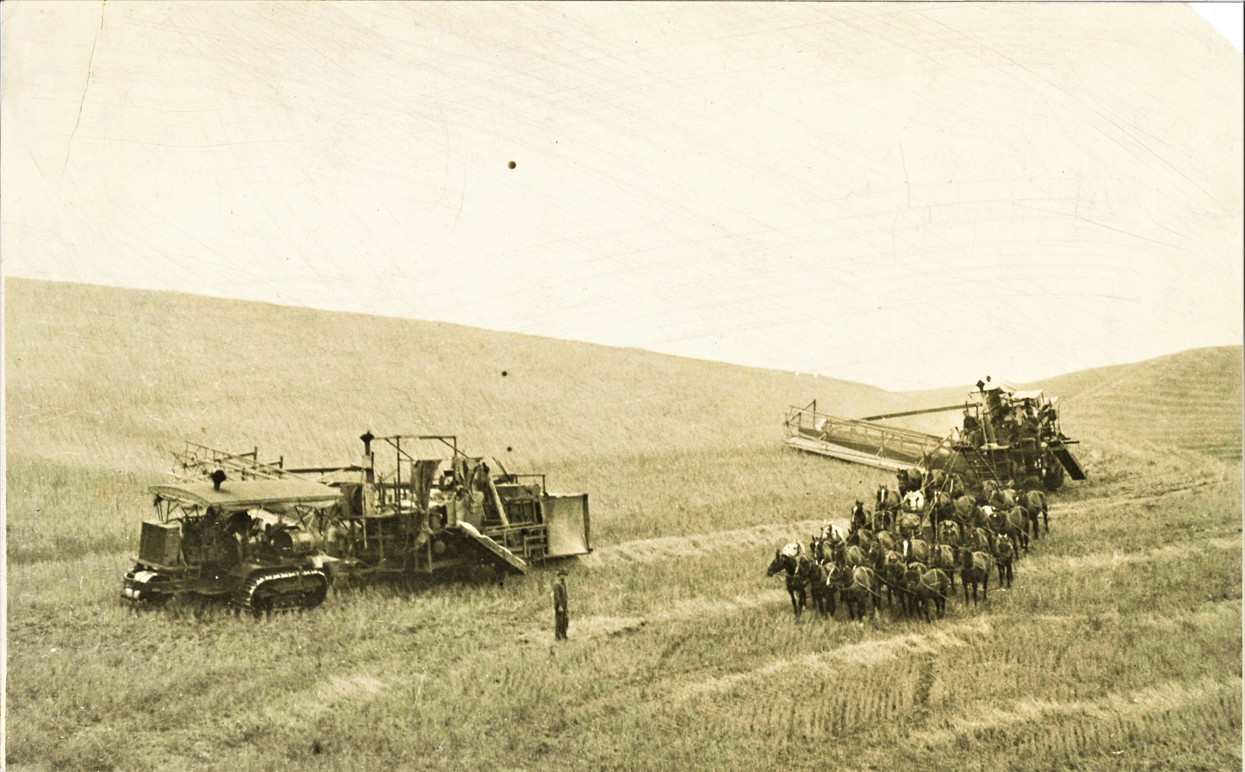 If you every wondered how farmers got by before the newfangled engine-powered machinery, Farmers Weekly historian Sandy Vasko shares this picture, culled from Farm Bureau annals, of a 30-horse team reaper, circa the early 1900s.