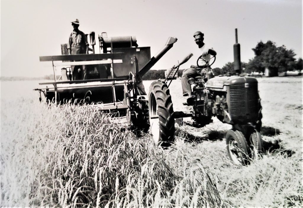 Gordon McCoy shares this photo of his father, Tom, on the tractor, and his grandfather, Edwin, on the combine on the farm between Lockport and Romeoville in the late '40s or early '50s.