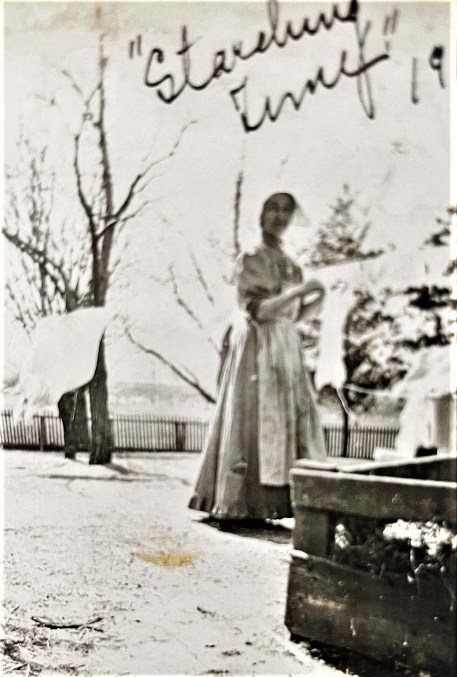 As the inscription says, it's "Starching Time," and Mary Alice Baskerville Lacey is taking care of that chose on the Lacey homestead around 1911. Their farm was east of Illinois 53, until the government took it over for part of the Arsenal. 