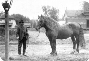 Farm Days Gone By